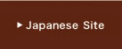 japanese website